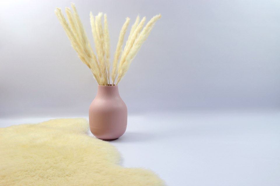 Minimal vase with dried stems