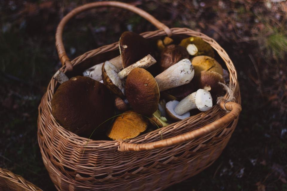 The woven texture of a basket
